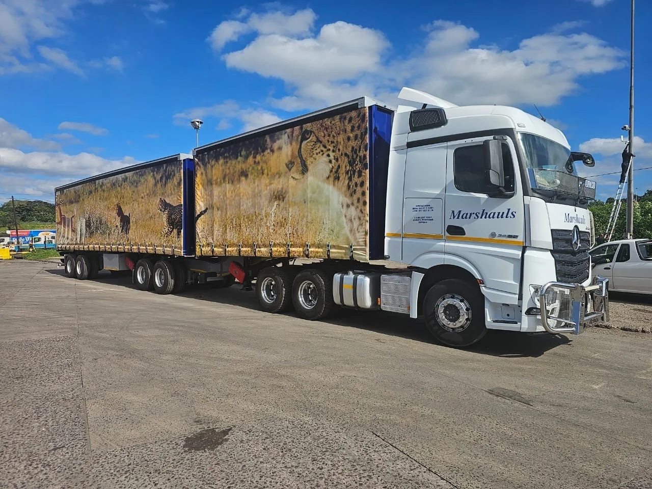 Mercedes-Benz Actros with cheetah livery