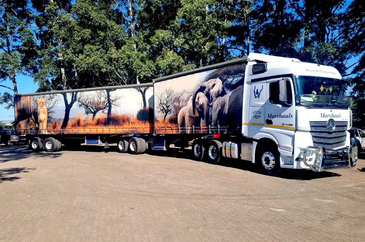 Actros with elephant herd wrap