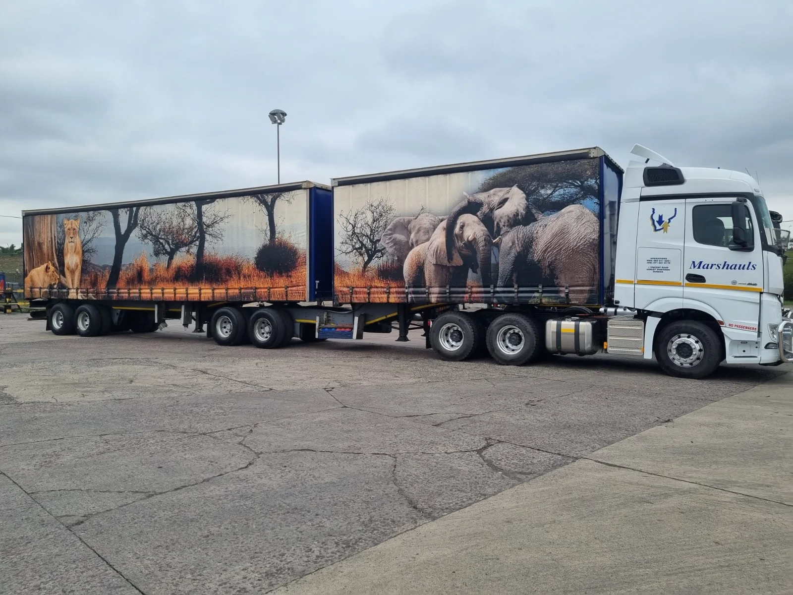 Marshauls Actros truck with lion and elephant livery