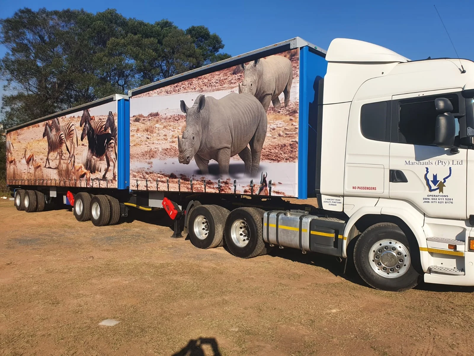 Scania interlink with rhino and zebra wrap